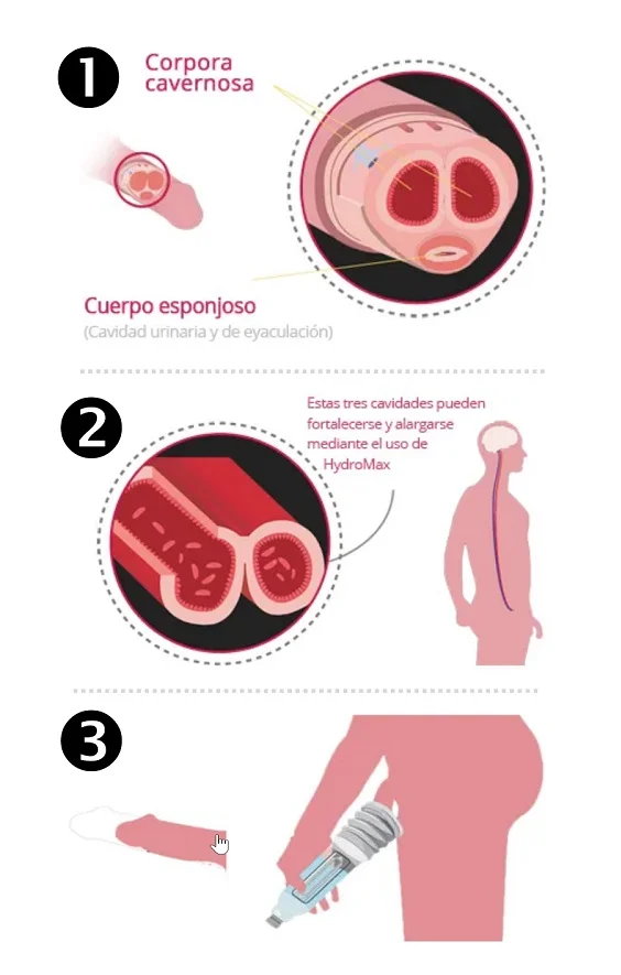 Home Como funciona Hidrobomba Bathmate Cómo funciona Bathmate para agrandar el pene